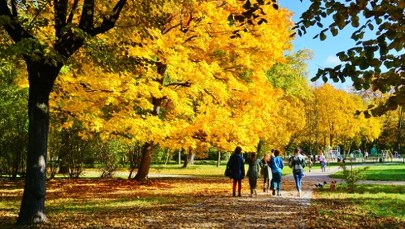 Rewolucja w sanatoriach. Od października zapłacisz mniej: zobacz, ile dokładnie