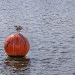Rewolucyjne rozwiązanie do badania wody. Opracowali je młodzi Polacy