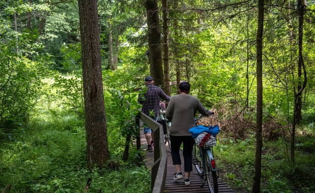 Rewolucyjne zmiany w polskich lasach. Czy to koniec polowań w weekendy?