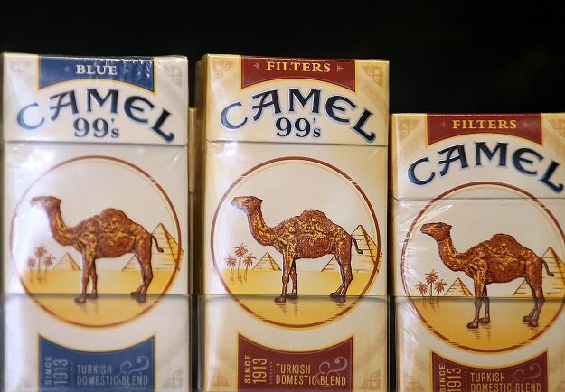 Reynolds American Inc. produkuje m.in. papierosy Camel /AFP