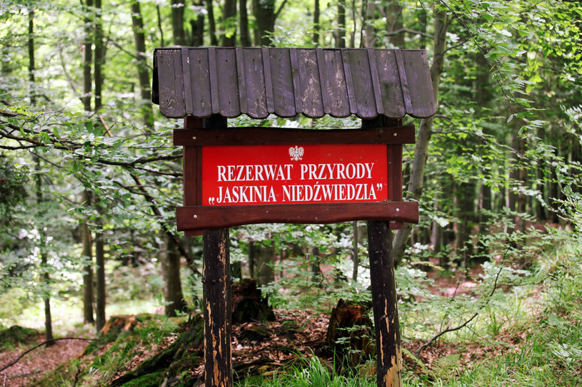 Rezerwat Jaskinia Niedźwiedzia w Sudetach /Stach Antkowiak/REPORTER /East News