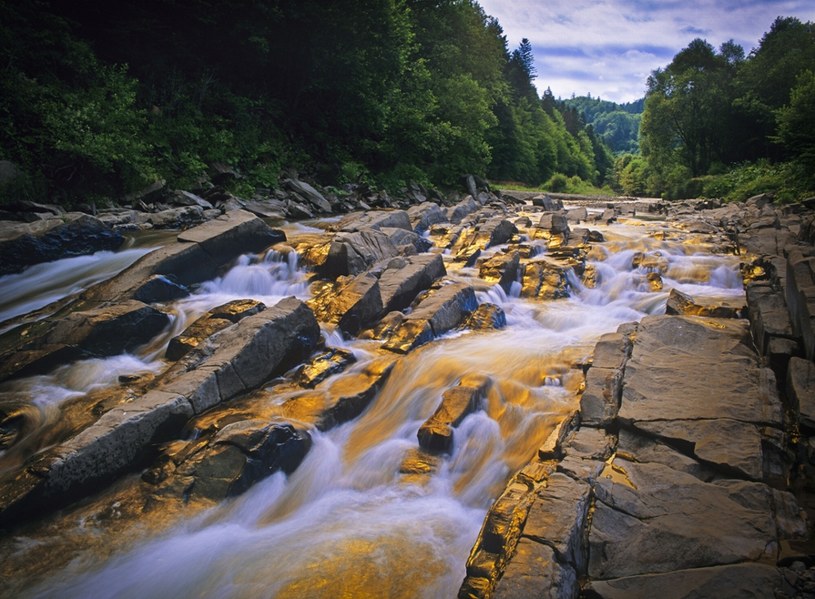 Rezerwat przyrody Sine Wiry jest jednym z piękniejszych miejsc w Bieszczadach /East News