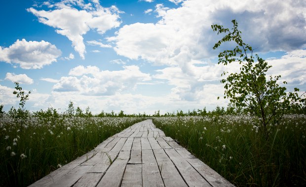 Rezerwat przyrody w Kazimierzu Dolnym. Ruszają konsultacje społeczne 