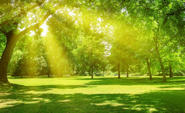 Rezerwat "Zakręt" w Krutyni będzie dostępny dla niepełnosprawnych