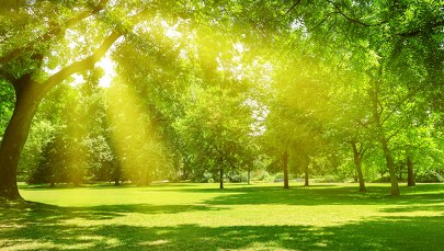 Rezerwat "Zakręt" w Krutyni będzie dostępny dla niepełnosprawnych