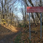 Rezerwat zamknięty do odwołania. Powodem jest to, co robią spacerowicze
