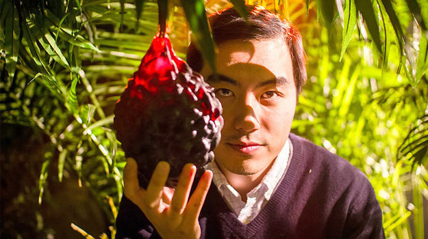 Reżyser Yung Chang również jest "łowcą owoców". /materiały dystrybutora