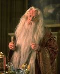 Richard Harris jako profesor Albus Dumbledore /