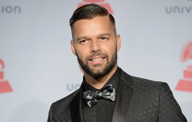 Ricky Martin chce znów być ojcem! /Jason Merritt /Getty Images