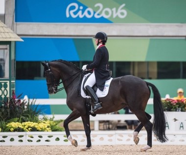 Rio 2016. Konie eskortowane jak prezydenci