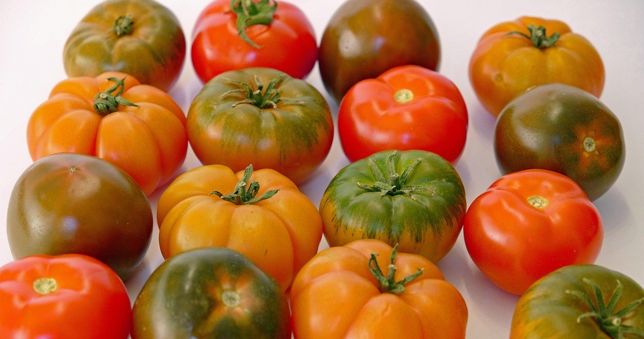 Різноманітність помідорів дозволяє обирати плоди для будь-яких кулінарних цілей /pixabay.com