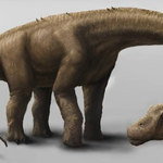 RMF 24: Oto najpotężniejszy dinozaur świata!