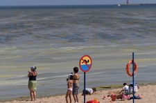 RMF: Sinice nad Bałtykiem nie odpuszczają