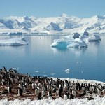 RMF24: Brytyjczycy odkryli pod lodem Antarktydy gigantyczne kaniony