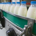 RMF24: Polskie mleko płynie na Białoruś