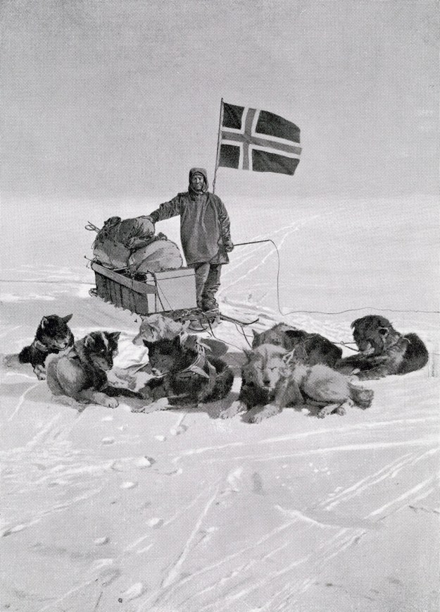 Roald Amundsen i jego psy zaprzęgowe /Photoshot    /PAP