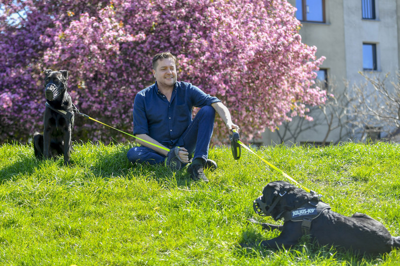 Robert Kudelski na spacerze z psami /Piętka Mieszko /AKPA