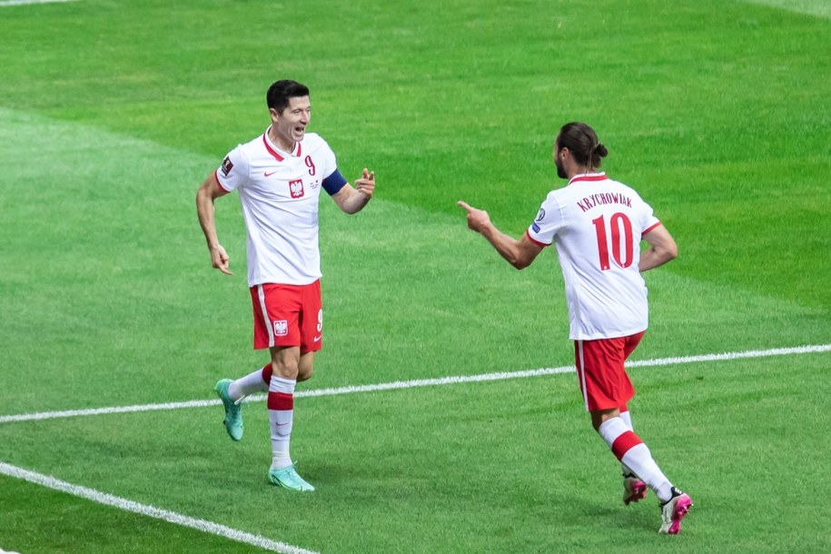 Robert Lewandowski i Grzegorz Krychowiak /Shutterstock