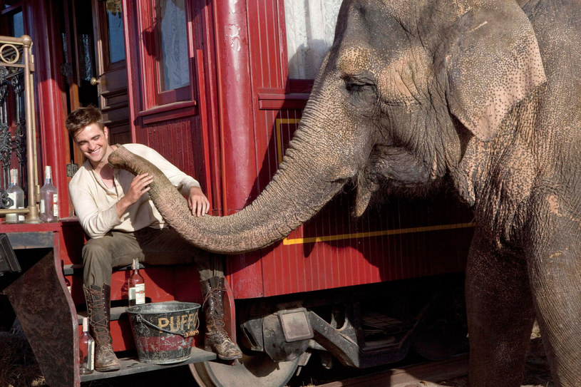 Robert Patinnson w filmie "Woda dla słoni" /David James  /East News