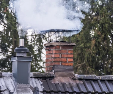 Robili pokazy garnków, mają nowy biznes. "Można zarabiać bańkę miesięcznie"