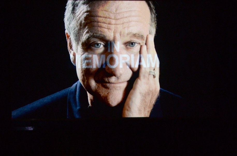 Robin Williams /PAT BENIC    /PAP/EPA