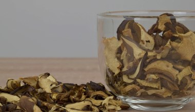Robisz farsz do pierogów z suszonych grzybów? Uważaj, 1 błąd i wyjdą gorzkie 