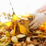 Robisz to na działce ROD? Uważaj, możesz zapłacić nawet 5000 zł kary