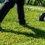 trawa Robisz to podczas koszenia trawnika? Dlatego tak słabo wygląda
