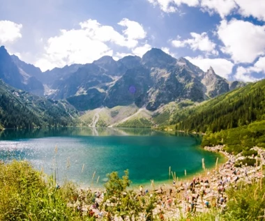 ​Robisz to w czasie wycieczki w Tatry? Uważaj, wygląda niewinnie, lecz może cię słono kosztować