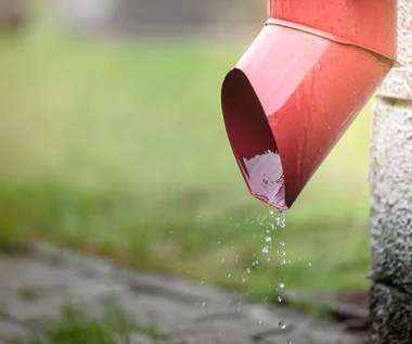 ​Robisz to z deszczówką? Uważaj, grożą ci wysokie kary