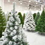 Robisz to z roślinami zimą? Uważaj, może być niebezpieczne