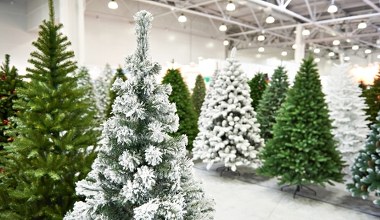 Robisz to z roślinami zimą? Uważaj, może być niebezpieczne