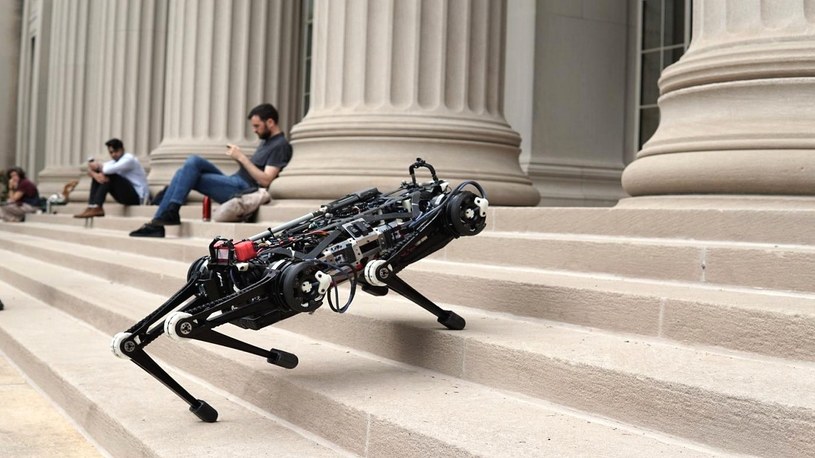 Robo-gepard z MIT zna więcej sztuczek od SpotaMini z Boston Dynamics /Geekweek