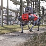 Robo-pies gra w badmintona. Innowacyjne zastosowanie sztucznej inteligencji