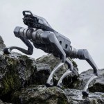 Robo-pies napędzany AI. Dźwiga 65 kg i biega z prędkością 29 km