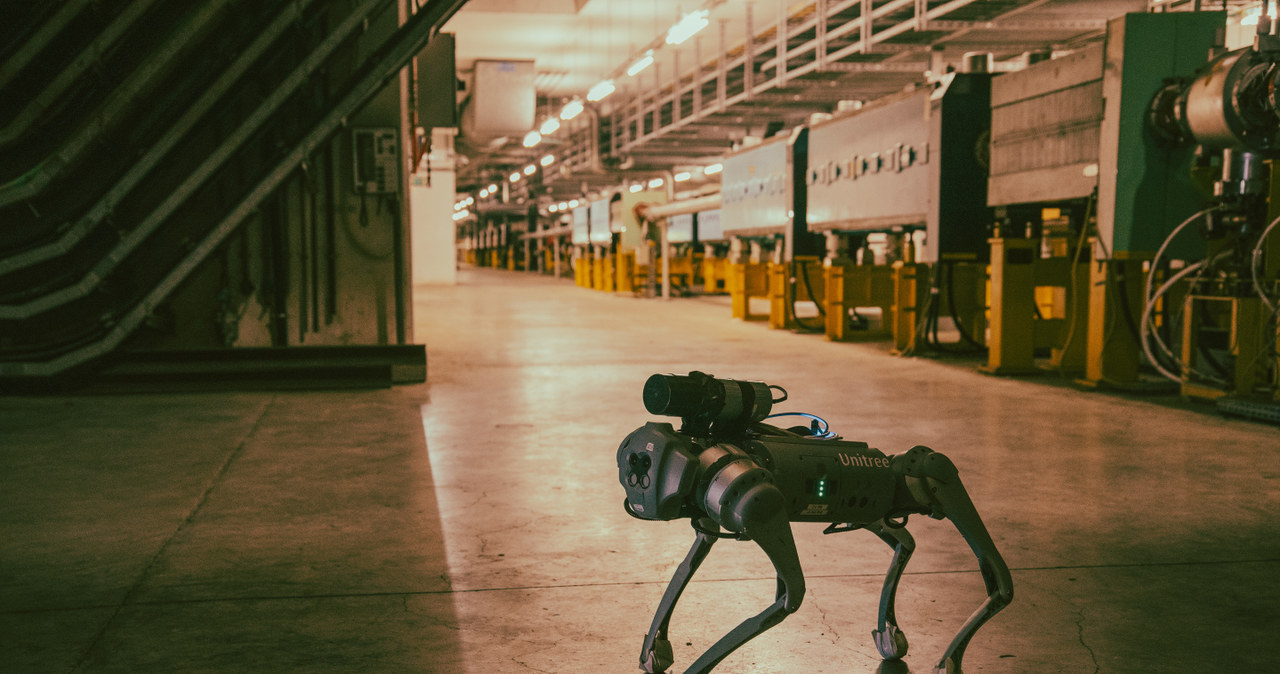 Robo-pies, oficjalnie nazywany CERNquadbot, wykonujący pomiary promieniowania w hali północnego laboratorium /M. Struik/CERN /materiały prasowe
