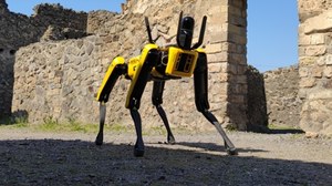 Robo-pies pojawił się w Pompejach. Będzie neutralizował przestępców