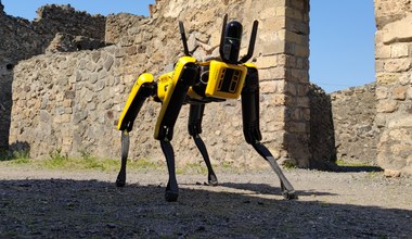 Robo-pies pojawił się w Pompejach. Będzie neutralizował przestępców