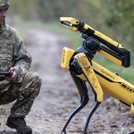 Robo-psy Spot będą walczyć z Rosjanami na Ukrainie