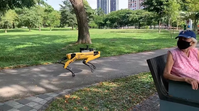 Robo-psy SpotMini patrolują ulice Singapuru i ostrzegają przed CoVID-19 [FILM] /Geekweek