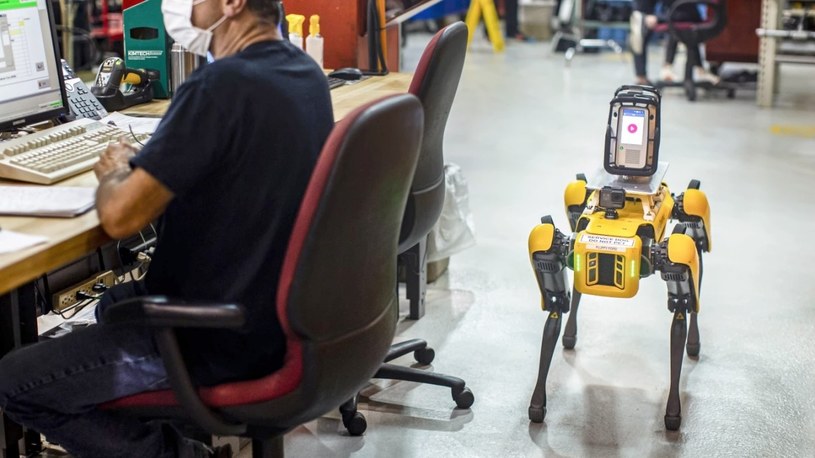 Robo-psy wchodzą do akcji. Spot tym razem pojawił się w fabryce Forda [FILM] /Geekweek