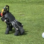 Robo-ręka jak z Rodziny Addamsów. Sama się porusza 