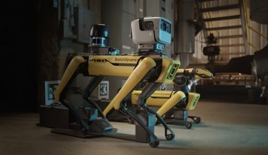 Robopies dozbrojony w sztuczną inteligencję Google Gemini. Jak sobie radzi?