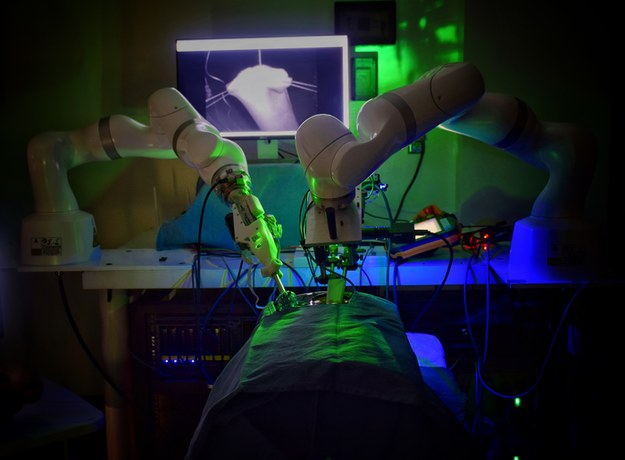 Robot chirurgiczny SMART (Smart Tissue Autonomous Robot) operuje tkanki miękkie bez pomocy człowieka /Johns Hopkins University /Materiały prasowe