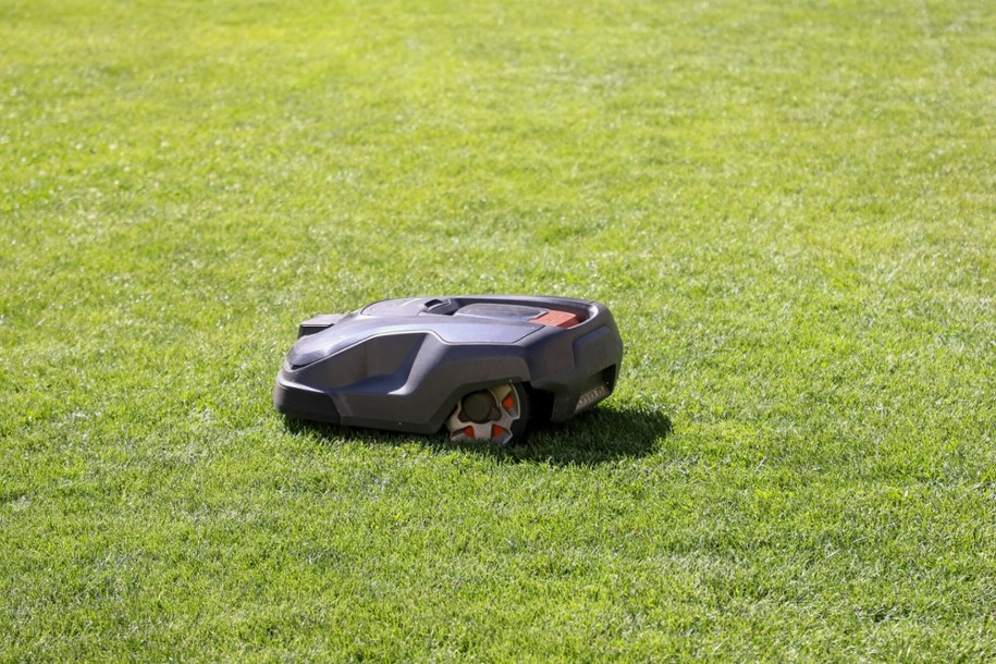 ​Obcokrajowiec próbował się włamać. Przestraszył go robot koszący