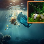 Robot-meduza będzie sprzątał za nas oceany