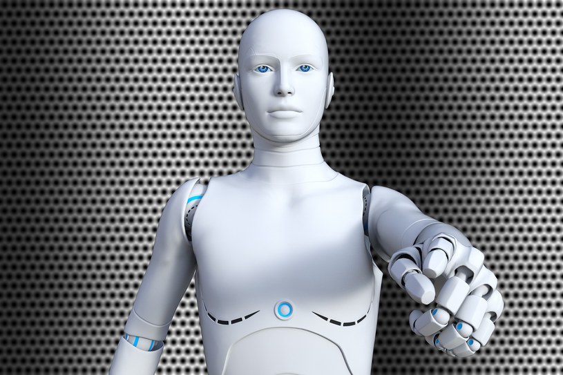 Robot poniesie nasze rzeczy, przeprowadzi przez tłum i zareaguje na nasze zachowanie /Pixabay.com
