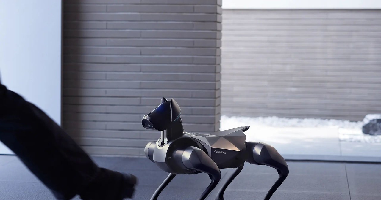 Robot przeszedł ponad 30 000 symulacji AI prawdziwych psów w celu uzyskania naturalnego zachowania /Xiaomi /materiały prasowe