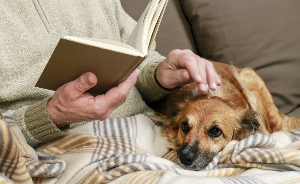 Robot przywiązany jak pies będzie w przyszłości towarzyszem seniora?