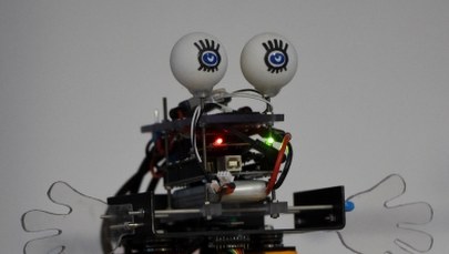 Robot w zakupach pomoże. To już nie science-fiction!